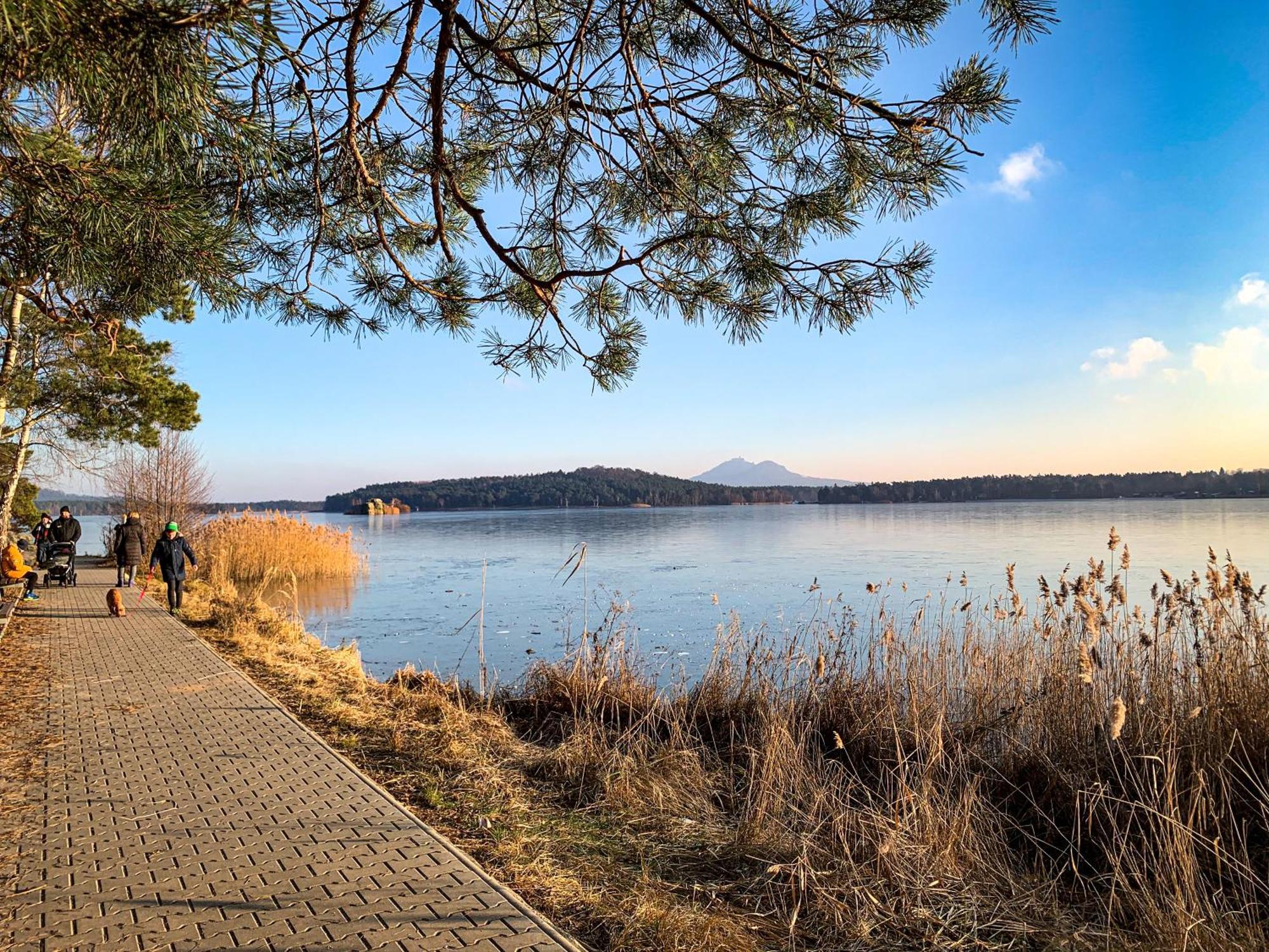 Remote Work Friendly Zahradni Apartman U Jezera Staré Splavy Exterior foto