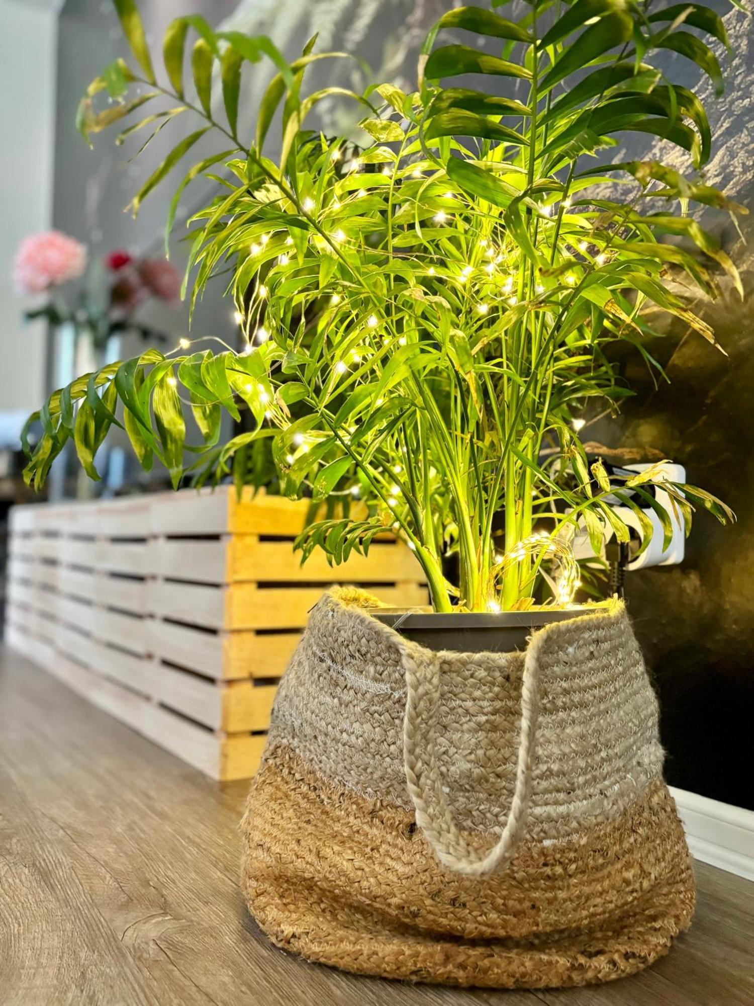 Remote Work Friendly Zahradni Apartman U Jezera Staré Splavy Exterior foto